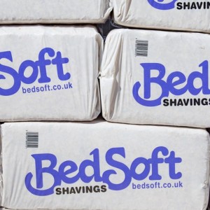 Bedsoft Shavings